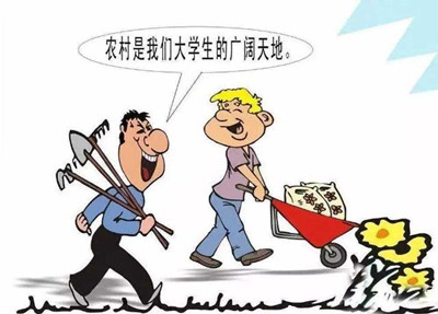 考公、考研難度高，應(yīng)屆生你還有4種選擇