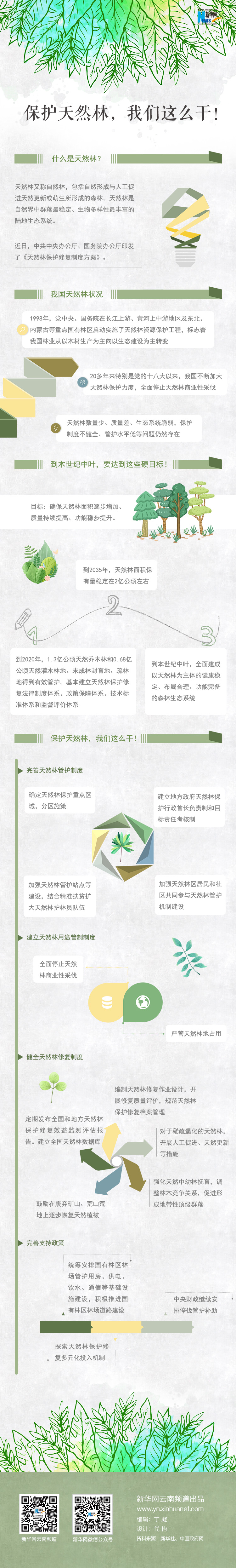 2020年國家公務(wù)員考試時政：保護(hù)天然林，我們這么干！